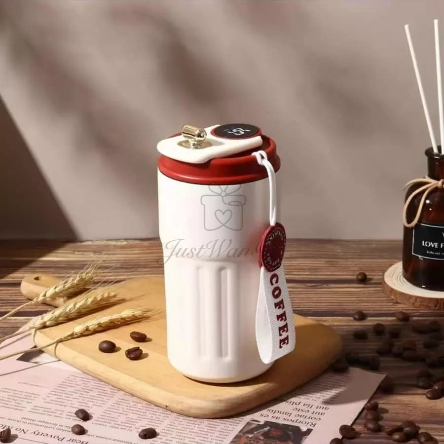 316 Stainless Steel Bottle with Smart Led Temperature Display